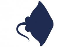 Stingray icon