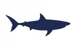 Shark icon