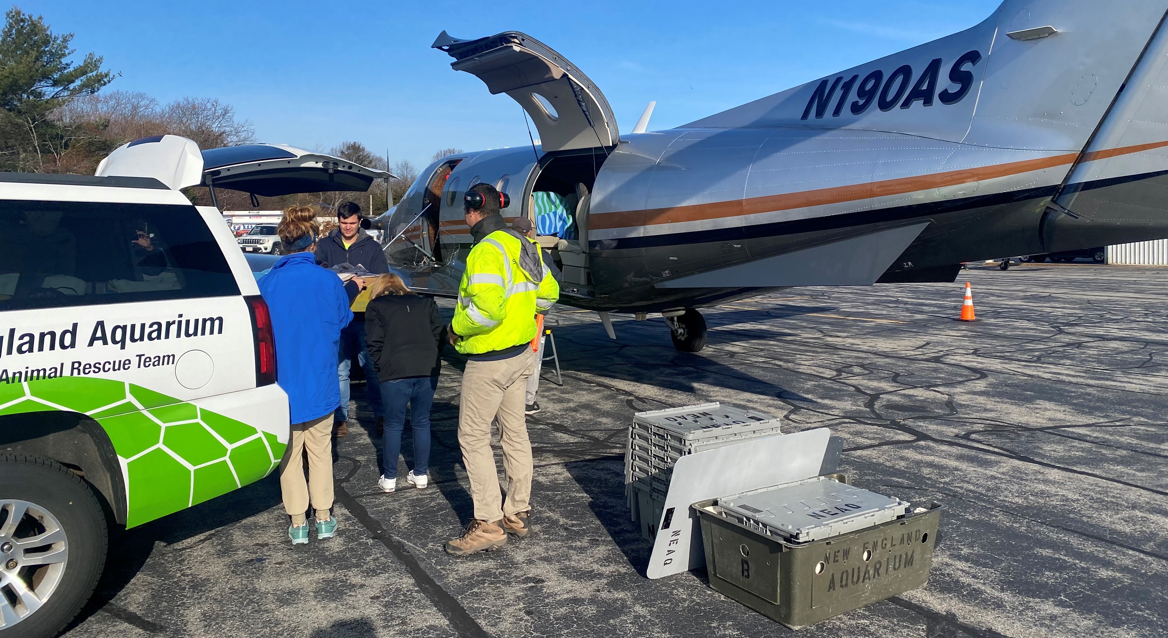 A private plane which is being loaded up with sea turtles in boxes ready to be transported to other rescue centres.