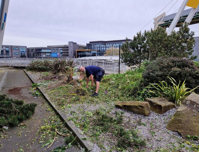 One of The Deep's Crew helping dig up the bog garden.