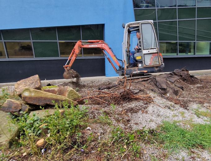 Digger on the bog garden