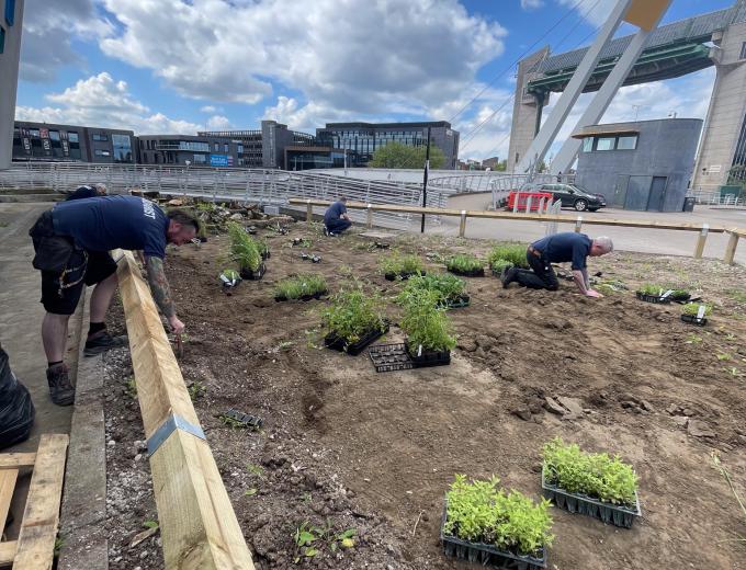 The team planting in the bog garden.