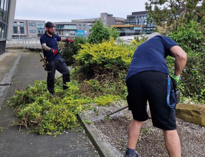 Two of The Deep's Aquarist team clearing out the gravel and plants from the bog garden.