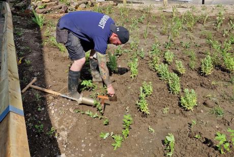 Aquarist at The Deep assisting with planting scrubs in the bog garden.