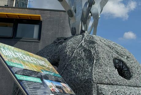 Seagrass Sculpture outside The Deep building.